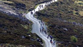 Sheep thrills: the hazards of cycling on rural roads