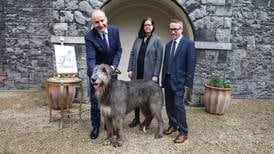 Meet Boánn, the Irish Wolfhound turned model for Ireland’s new passport design