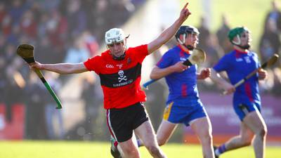 UCC lift Fitzgibbon Cup to secure dream treble of titles