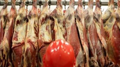 Calls for immediate reintroduction of Covid-19 testing at meat plants