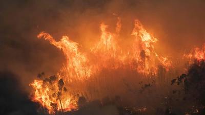 Thousands gather on Australian beaches fleeing bushfires