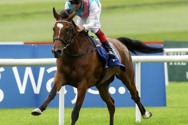 Enable to stay in training in 2019 and bid for a third Arc victory
