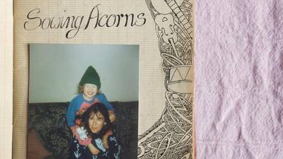 Emma Langford: Sowing Acorns review – Limerick folk singer growing in stature