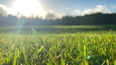 Easter weekend set to be dry with sunny spells, says Met Éireann