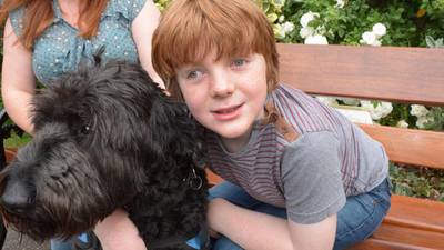 Autism Spectrum Disorder study finds trained dogs keep children safer