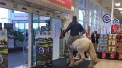 Did you hear the one about the horse that walked into Tesco?
