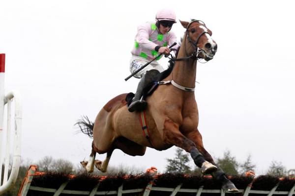 Faugheen rockets to Champion Hurdle favouritism after return