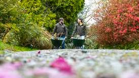 ‘We call Mount Congreve Ireland’s global garden because there are 10,000 different plants here’