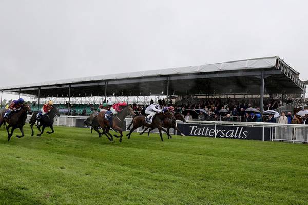 Derby debacle shows racing public just an optional extra