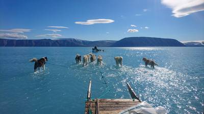 Photograph offers window on melting Greenland sea ice