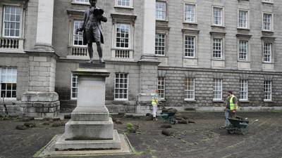 Trinity College lawns dug up to make room for wild flowers