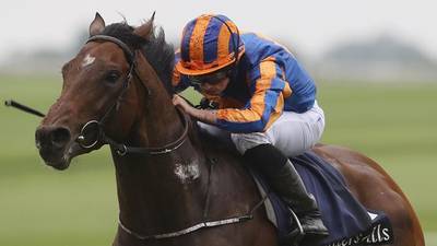 Ribchester and Churchill set for Goodwood showdown