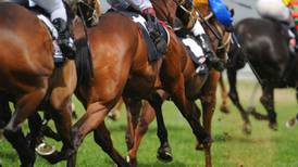 Amateur horse racing may halt as organisers fail to secure insurance cover