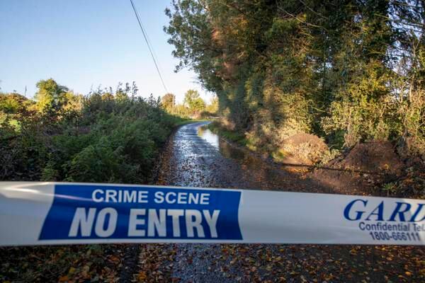 Murders have doubled - but is Ireland really more dangerous? 