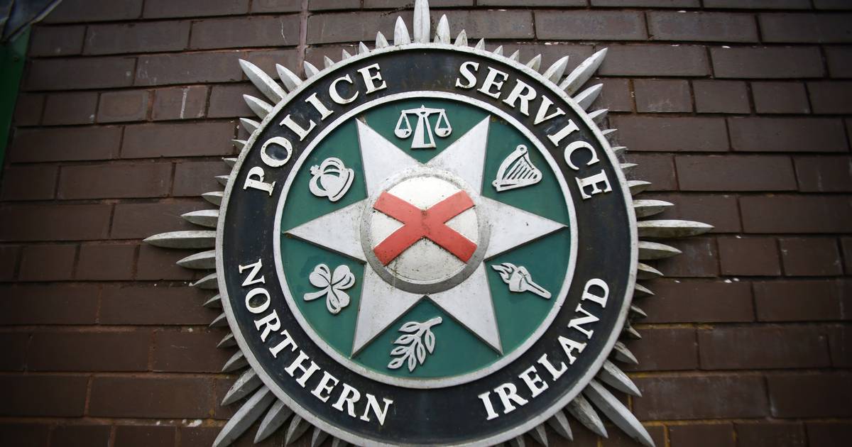 Расследование убийства началось после смерти 60-летнего мужчины в Ко-Дауне — Irish Times