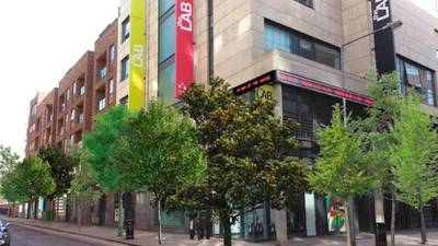 Tree scheme in Dublin takes leaf out of ‘Ulysses’