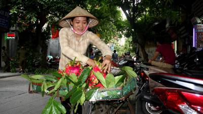 Vietnam is changing but the country’s women traders are not seeing any benefit