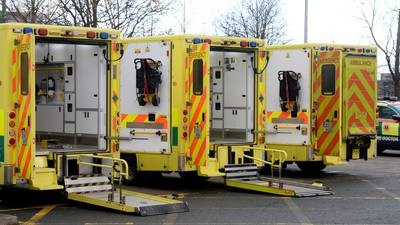Offaly ambulance firm temporarily shuts due to Brexit supply issues
