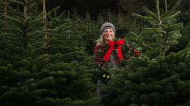 What I Do: Karen Morton is a Christmas tree farmer