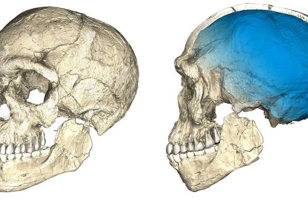 Oldest fossils of homo sapiens alter understanding of human origins