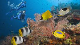 Great Barrier Reef kept off Unesco ‘danger’ list