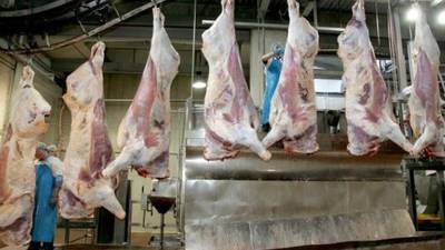 Nearly half of inspections of meat plants found breaches of employment law