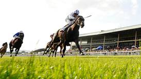 Trading Leather on path to further glory after Irish Derby victory
