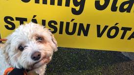 #dogsatpollingstations trends on Twitter as pooches visit the polls