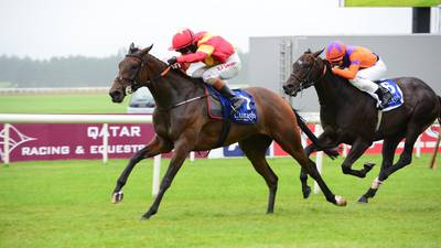 Hit The Bid unlikely to make  return to Curragh