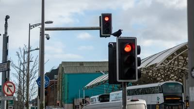 Traffic light cameras will be installed nationwide by next year, Eamon Ryan says
