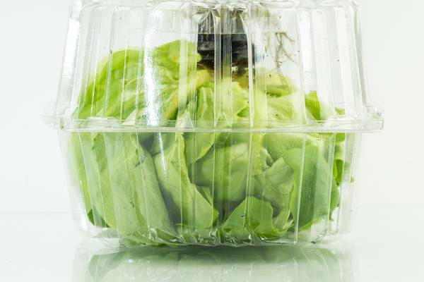 Lettuce: Is unwashed better than washed? Fresh better than bagged?