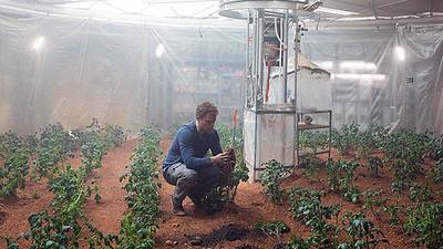 Dig In: Space . . . but not as we grow it