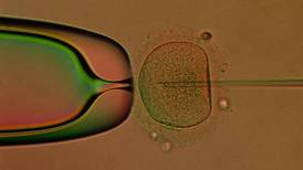 Legal certainty on assisted reproduction needed