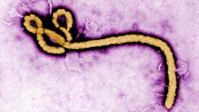 Ireland ‘well equipped’ to deal with Ebola outbreak