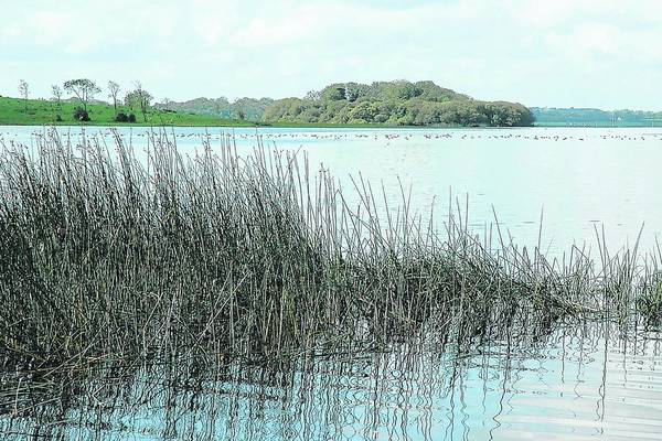 Search under way for missing man at Lough Erne